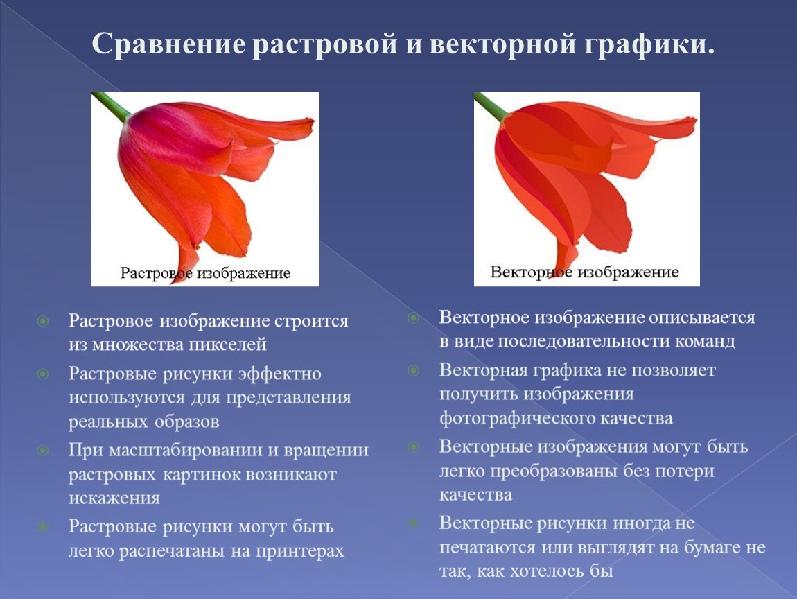 Векторной и растровой графикой. Растровая и Векторная графи. Сравнение растровой и векторной графики. Растровая Графика и Векторная Графика. Векторная Графика и растр.