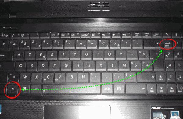 Как включить клавиатуру на ноутбуке если она отключилась