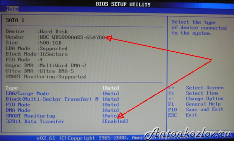 Что делать если ноутбук не видит жесткий диск в биосе – решение проблемы почему bios компьютера отказывается определять hdd