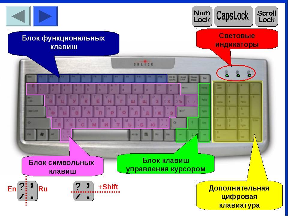 Не работает клавиатура на ноутбуке: как устранить поломку?